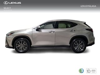 Lexus NX 350h Business City 2WD