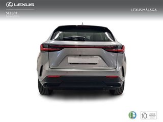 Lexus NX 350h Business City 2WD