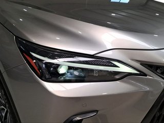 Lexus NX 350h Business City 2WD