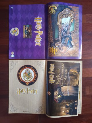 Harry Potter Poster book 2001 Play Press ITA