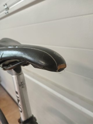 Bicicleta carretera Fixed Gear