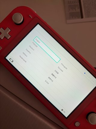 Nintendo Switch Lite Rosa