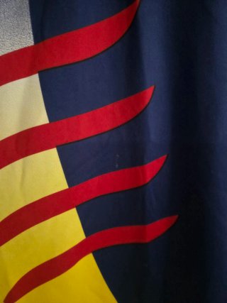 Camiseta Selección Catalunya 2002 Puma Talla L