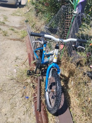 Bicicleta Trotter infantil azul
