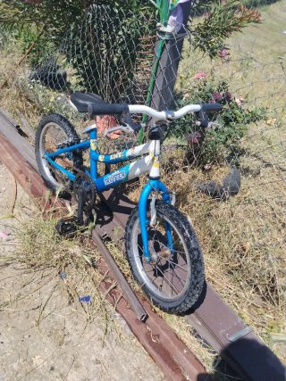 Bicicleta Trotter infantil azul