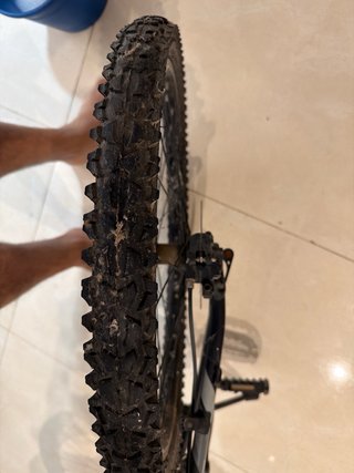 Bicicleta Coluer 24 Montagna