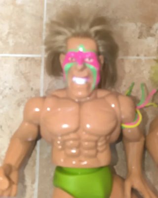 Figuras WWE/WWF Titansport 1991 Star Toys