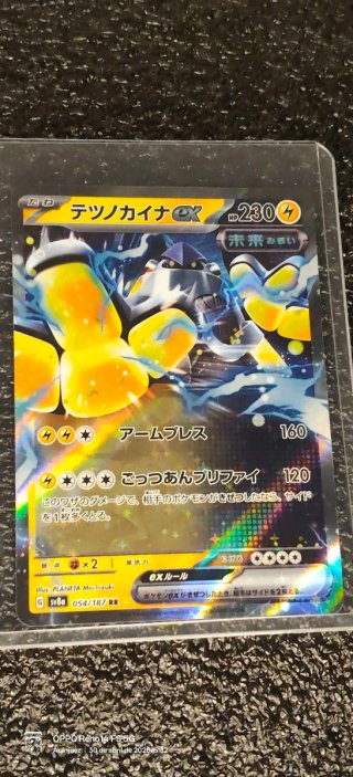 Lote de cartas Pokémon EX RR