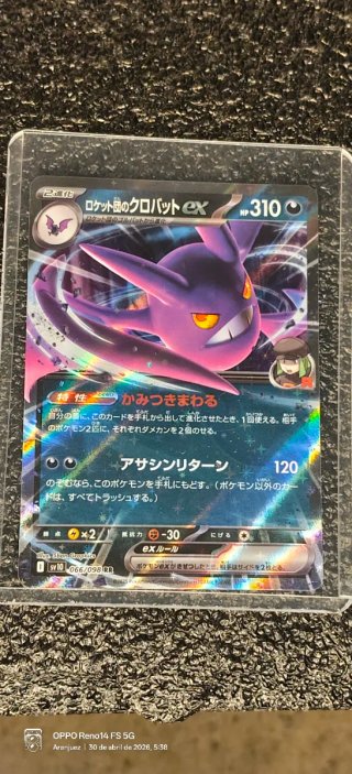 Lote de cartas Pokémon EX RR