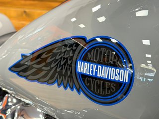 Harley-Davidson Low Rider ST 117 Gris