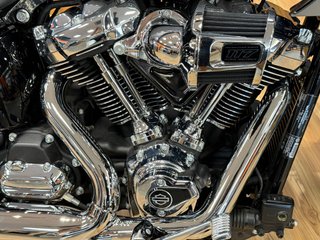 Harley-Davidson Low Rider ST 117 Gris