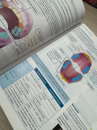 Técnicas de ayuda odontológica-estomatológica