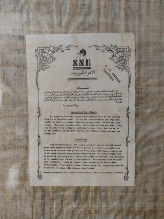 Lote Papiros Egipcios
