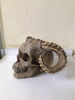 Calavera con cuernos hecha por Markus Mayer