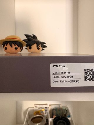 AYN THOR PRO