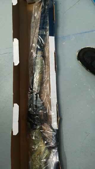 Daisy Camo Carbine 1999