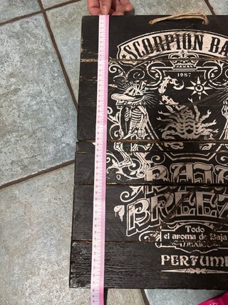 Coppia quadri Scorpion Bay in legno