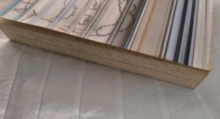 Libro Cuentos imprescindibles, de Antón Chéjov