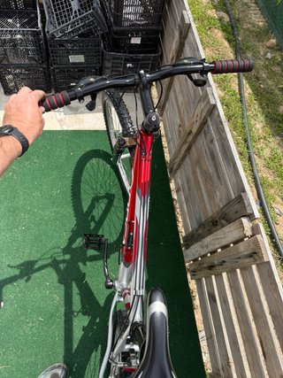 Bicicleta Orbea 26 pulgadas (L)