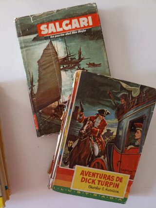 Lote 9 libros juveniles