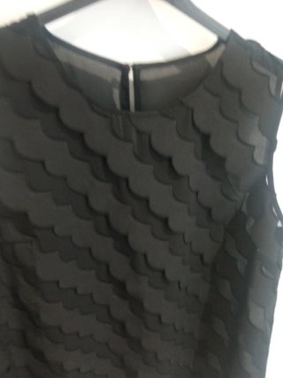 Blusa transparente con volantes