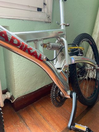 Bicicleta Radikal
