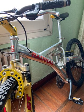Bicicleta Radikal
