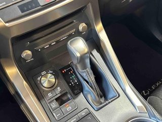 Lexus NX NX 300H HYBRID 197CV