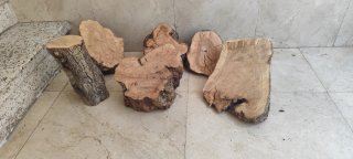Troncos de olivo secos para decoración