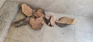 Troncos de olivo secos para decoración