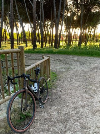 Bicicleta Gravel Megamo West 10, 2025, marron (M)