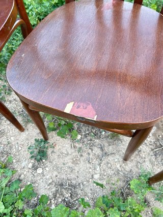 Sillas de cafetería de madera