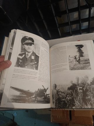 Luftwaffe historia ilustrada de la Fuerza Aérea...