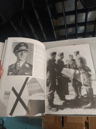 Luftwaffe historia ilustrada de la Fuerza Aérea...