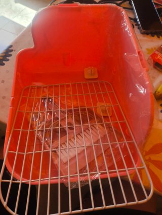 Box sabbia per conigli e animali domestici