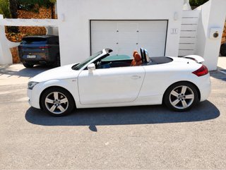 Audi TT 2010