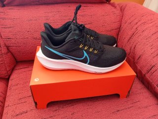 Nike Air Zoom Pegasus 39 Negro/Azul