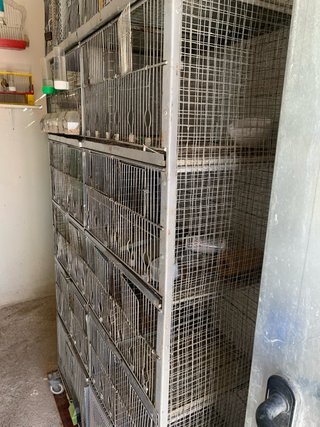 Jaula modular