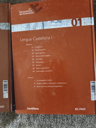Lengua castellana