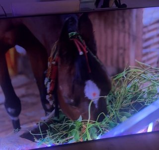 Samsung QLED QNQ8F 65 Smart TV