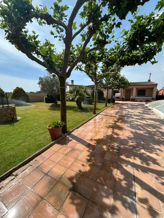 Alquiler finca Z LIVE 2026