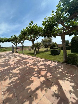 Alquiler finca Z LIVE 2026