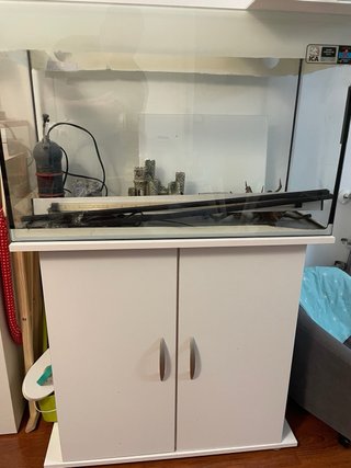 Acuario 100L