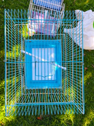 3 Jaulas para Pájaros