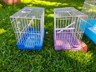 3 Jaulas para Pájaros