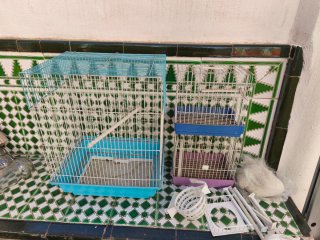 3 Jaulas para Pájaros