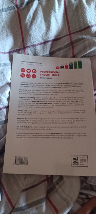 Professional English HUB I
