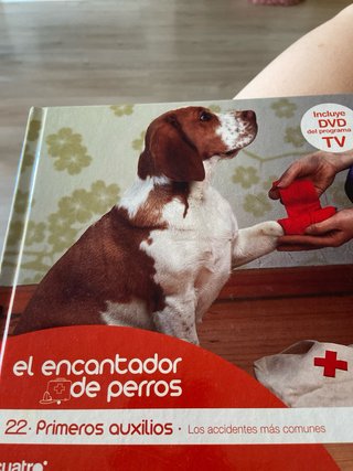 Lote El Encantador de Perros DVD y Libros