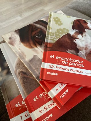 Lote El Encantador de Perros DVD y Libros
