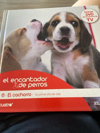 Lote El Encantador de Perros DVD y Libros